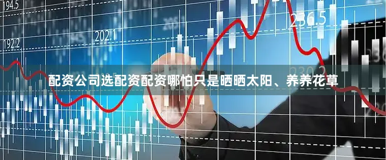 配资公司选配资配资哪怕只是晒晒太阳、养养花草